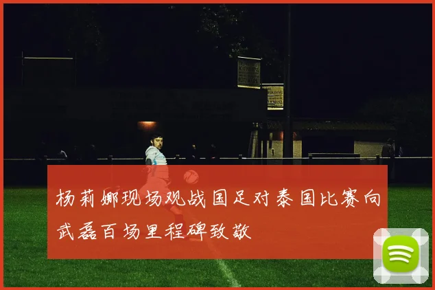 杨莉娜现场观战国足对泰国比赛向武磊百场里程碑致敬